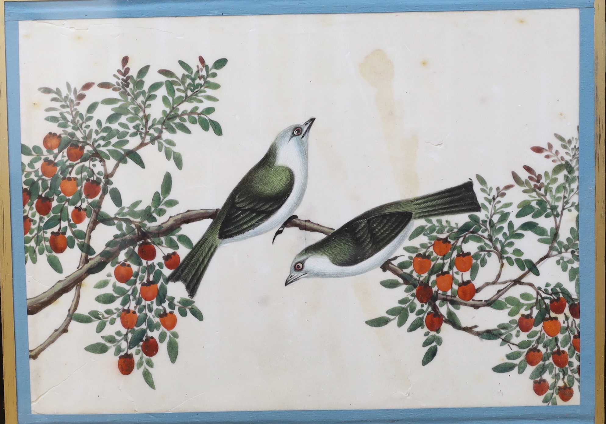 Chinese School, pair of gouaches on pith paper, Birds of paradise amongst flowers, 16 x 23cm